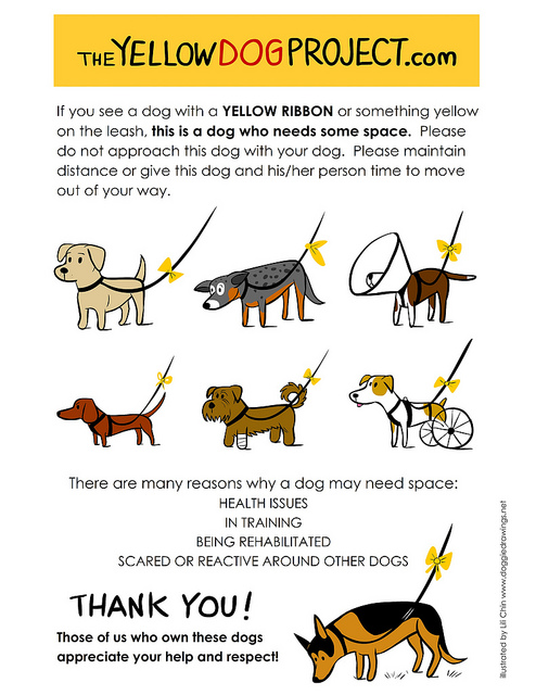 Illustration for THE YELLOW DOG PROJECT