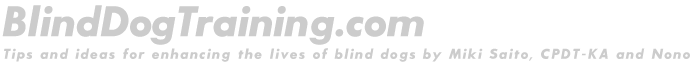 BlindDogTraining.com
